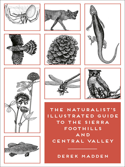 Title details for The Naturalist's Illustrated Guide to the Sierra Foothills and Central Valley by Derek Madden - Available